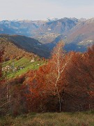 48 Torna la luce del sole, splendono i colori autunnali